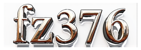 fz376 logo